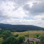 Avalon Ii * Танненкирш