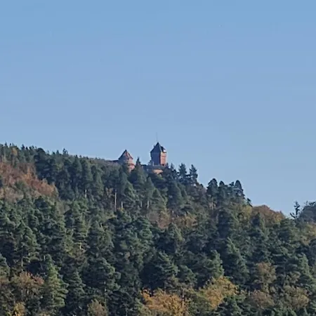 Avalon Ii Appartamento Thannenkirch