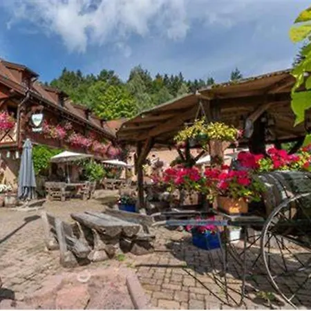 Avalon Ii Appartement Thannenkirch