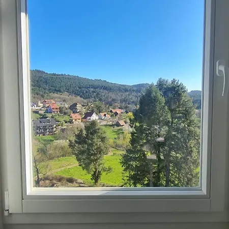 Appartement Avalon Ii Thannenkirch