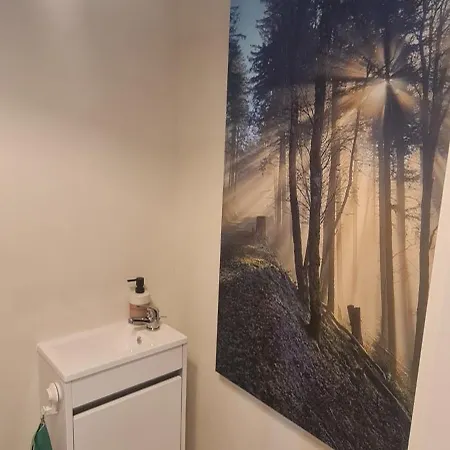 Appartement Avalon Ii Thannenkirch